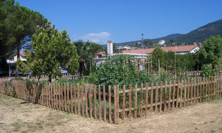 Immagine 2023-07-10 143052