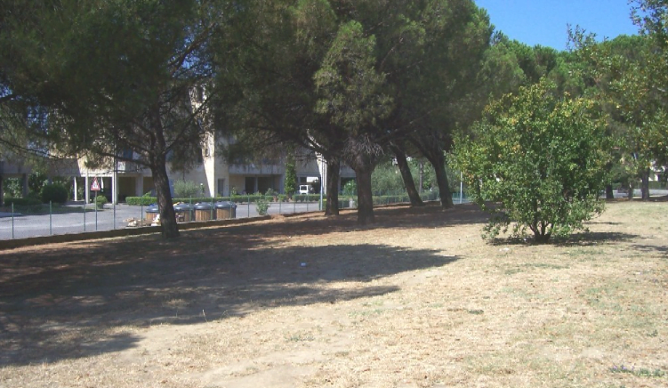Immagine 2023-07-10 143119